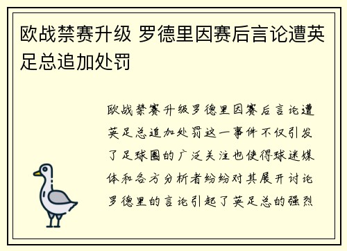 欧战禁赛升级 罗德里因赛后言论遭英足总追加处罚 欧战禁赛升级 罗德里因赛后言论遭英足总追加处罚